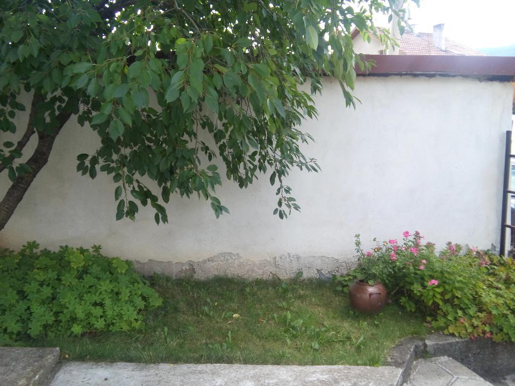 Guest House Ahp Mala Tsurkva Luaran gambar